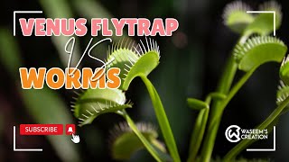 Worms Vs Flytrap