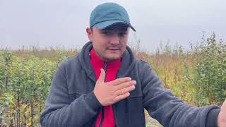 : Mevali kochatlar barcha turi mavjud +998916688858