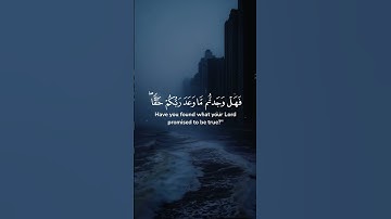 أكتب شيء تؤجر عليه 🤍😴 تلاوة قديمة للشيخ ياسر الدوسري #تلاوة_هادئة #ياسر_الدوسري #راحة_نفسية #اكسبلور