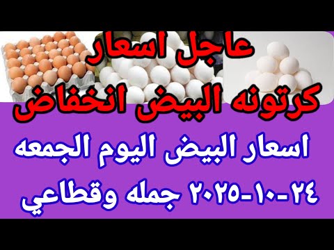 سعر البيض اسعار البيض اليوم الجمعه 24 10 20٢٥ جمله وقطاعي فى مصر