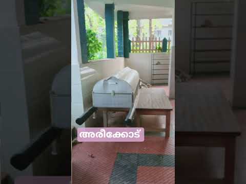 പള്ളിക്കാട്ടിലാണ് നാളെ മണിയറ #malayalam #pravasi