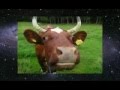Корова - священное животное. Мистическая сила молока - Часть 1 (Леонид Тугутов)
