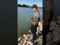 Zander auf Gummifisch Teil 2