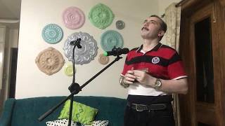 Zindagi Ke Safar Mein Guzar Jaaten Hain  Harmonica Cover  Keyur Desai