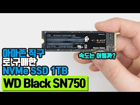 아마존 직구 최저가 확인하는 방법과 WD Black SN750 1TB NVMe SSD 속도는?