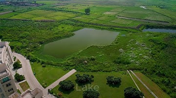 Discover the All-Inclusive Campus Experience at Shiv Nadar University