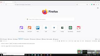 network in web developer tools firefox