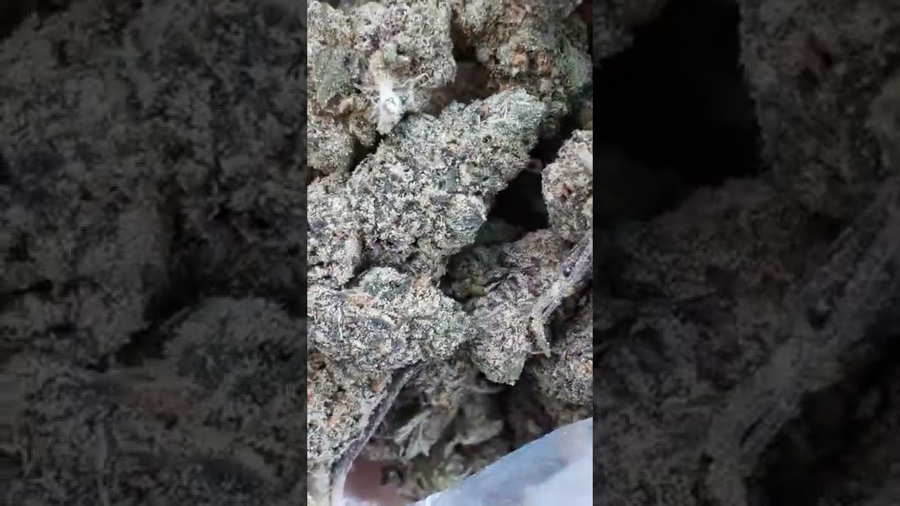 GOD'S GREEN CRACK