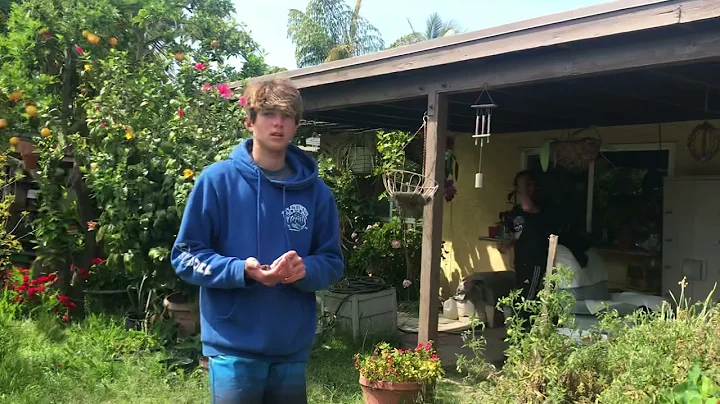 Part 1: Seeing turtles at my cousins house. They h...