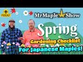 Spring Gardening Checklist For Japanese Maples | MrMaple Show Podcast Episode #22