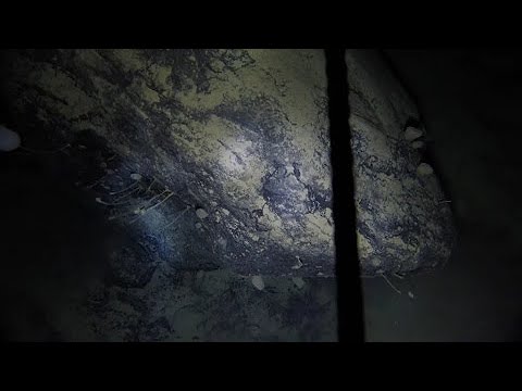 Vídeo: Uma Foto Da Coluna Vertebral De 130 Metros De Uma Criatura Desconhecida Na Lua Foi Divulgada - Visão Alternativa