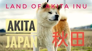 Akita Prefecture, Japan: 8 Mustvisit places and 5 musttry food in Akita