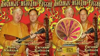Инструментальный дуэт Серебряные струны 2010 Ю.  Клепалов  Е . Клипалов