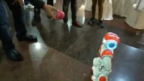 Nao tracking a red ball at TOCIC conference,IIT Guwahati.