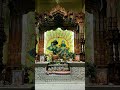jiska sathi murli wala #radhekrishna #world #trending #youtubeshorts