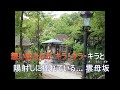 雲母坂(きららざか)カラオケ 唄 川野夏美