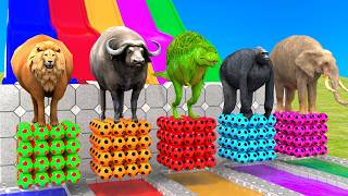 Long Slide Game With Cow Elephant Gorilla Hippopotamus Tiger   3d Animal Game   Funny 3d Animals screenshot 3