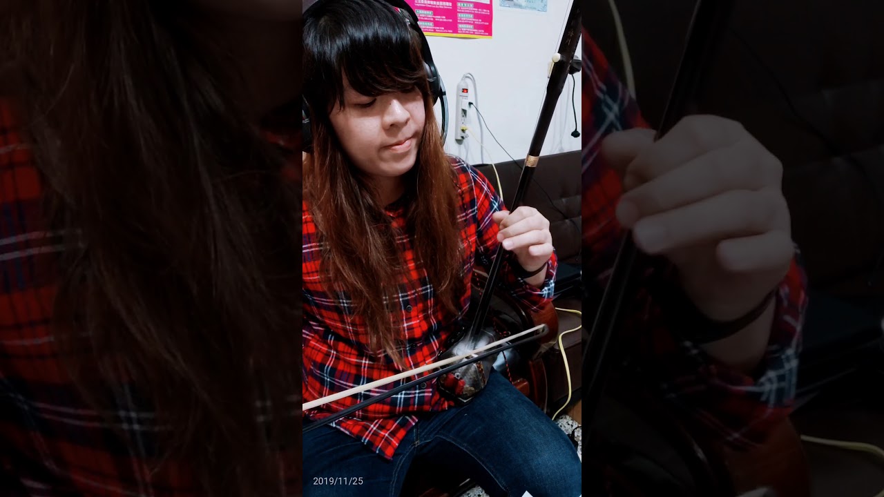 月光下的鳳尾竹二胡演奏