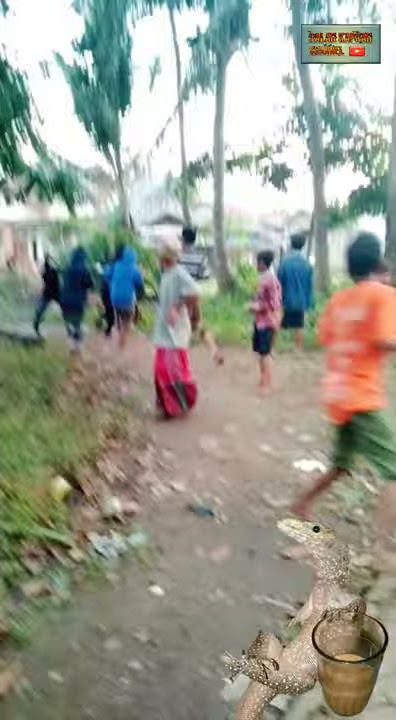 SERU BANGET😂🤣🤣 PERANG TEMBAKAN