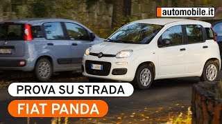Fiat Panda: è sempre lei la regina delle strade italiane!
