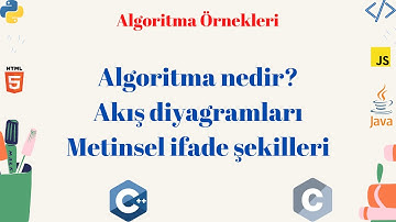 Algoritma Dersleri-3 || Input Kullanımları || Algoritma Örnekleri || Akış Diyagramları