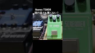 TS系試すなら】現行品でも音は悪くない Ibanez TS808 - YouTube