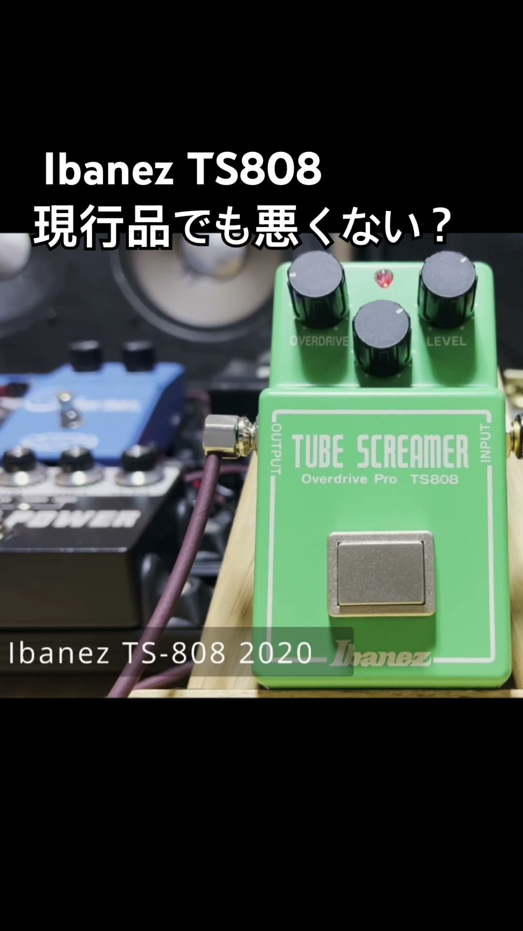 TS系試すなら】現行品でも音は悪くない Ibanez TS808 - YouTube