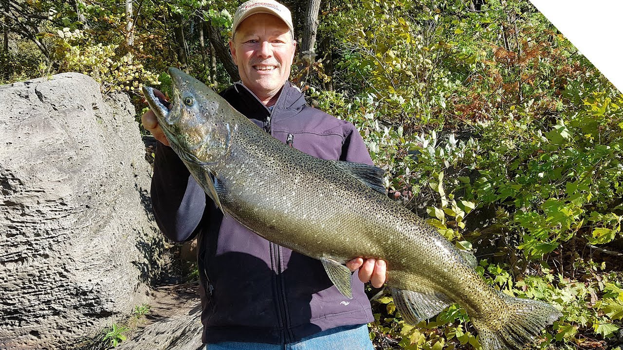 Casting for Fall Salmon from the Niagara River Shoreline YouTube