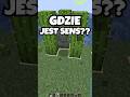 GDZIE TU JEST SENS 🤯