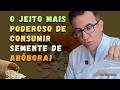 O JEITO MAIS PODEROSO DE CONSUMIR SEMENTE DE ABÓBORA! "Dr. Tiago Rocha"