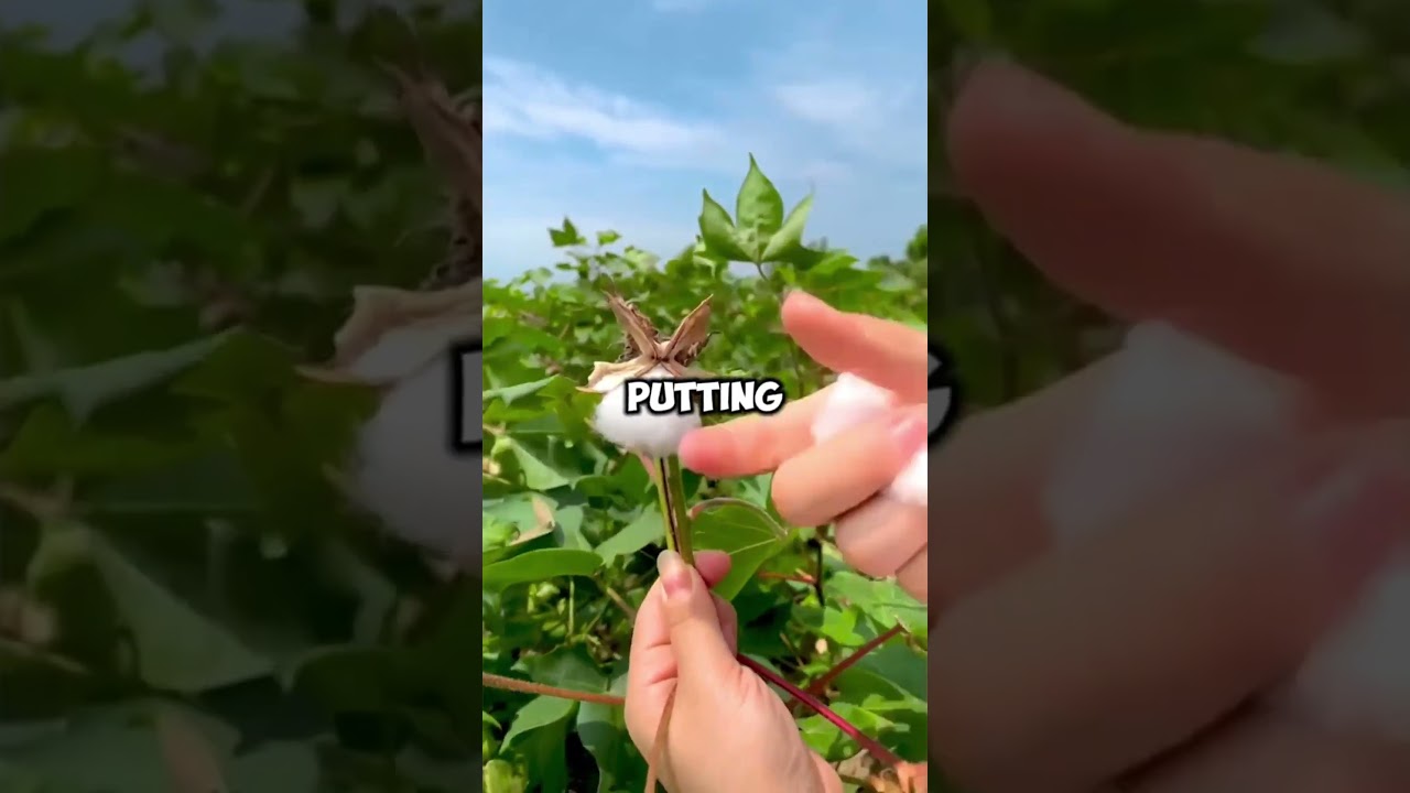 The Creepy Man in the Neighborhood... 