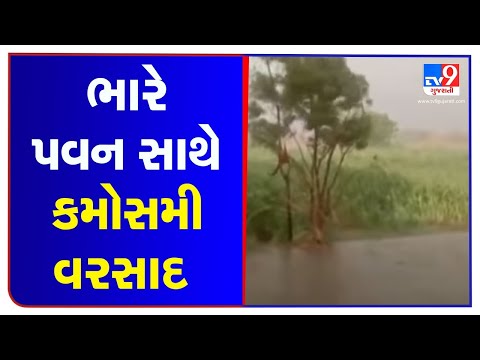 Unseasonal rainfall with strong gusts of wind strikes rural areas of Rapar, Kutch | TV9News