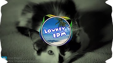 Avee Player - Lowkey EDM Spectrum/Visualizer TEASER