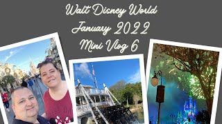 Walt Disney World | January 2022 | Mini Vlog 6 | Magic Kingdom