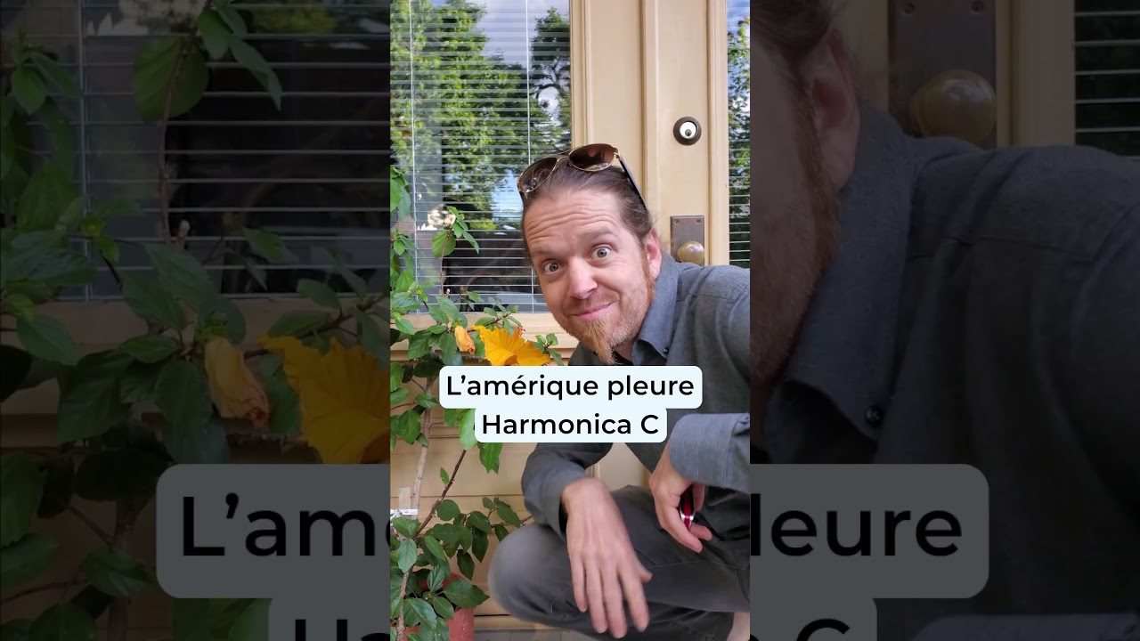 Cowboys Fringants (Top 3 Chansons avec Harmonica)