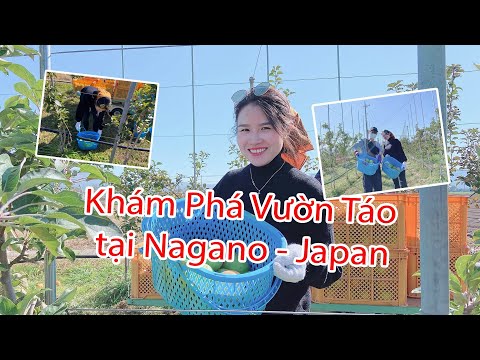 Video: 12 việc phải làm ở Nagano, Nhật Bản