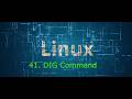 41. How to use DIG command in Linux | DNS lookup | linux crash course #linux