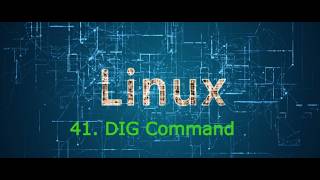 41. How to use DIG command in Linux | DNS lookup | linux crash course #linux Wealth