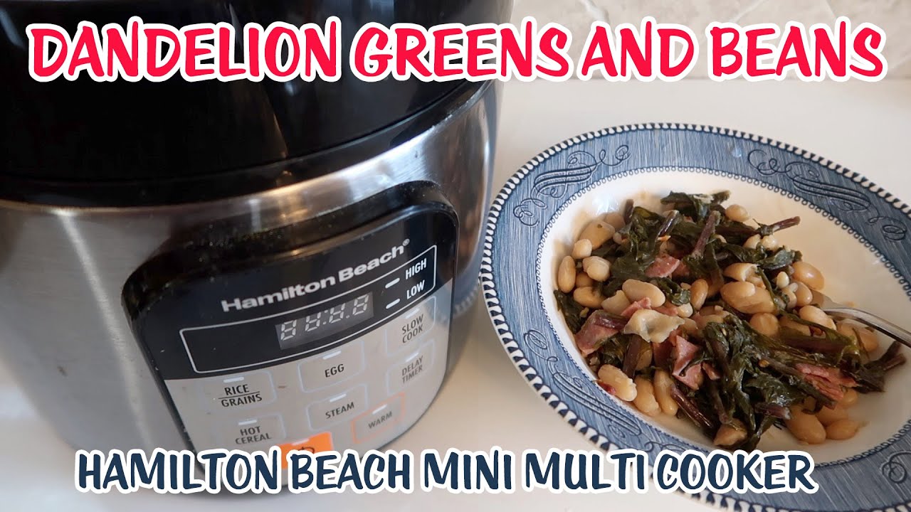 Hamilton Beach Compact Multi Cooker