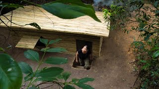 Girl Solo bushcraft camping build The Most Beautiful Decoration Bamboo House