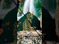 mojh gohnar sa insan madiny ma rahy ❣️💕#naat#triding#naatstatus#naat