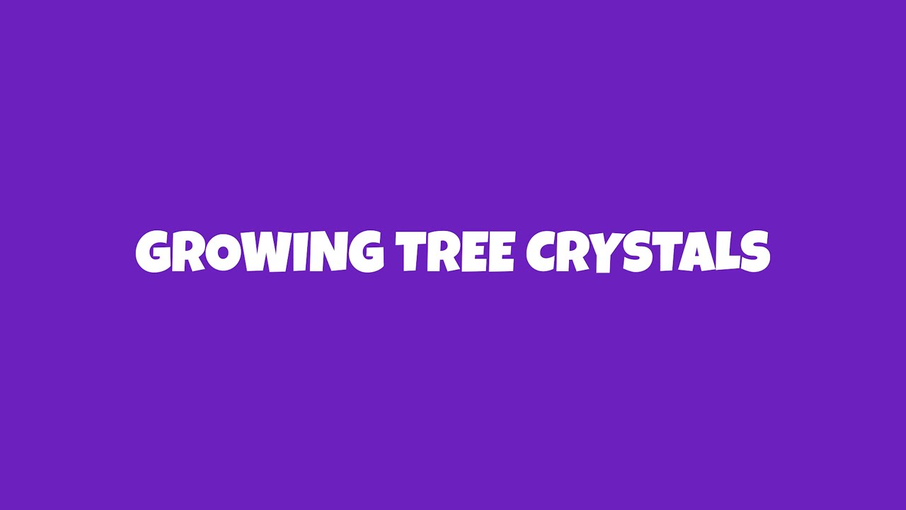Growing Tree Crystals - Experiment #8
