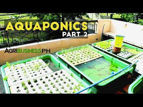 Aquaponics System DIY- Agribusiness Season 1 Episode 4 Part 2 