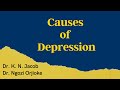 Causes of Depression - Part 2 of Mental Wellness Sermon Series - Dr. K. N. Jacob &amp; Dr. Ngozi Orjioke