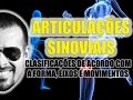 Sistema Articular: Classificação das articulações sinoviais - Anatomia Humana - VideoAula 040