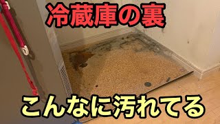 【冷蔵庫】冷蔵庫誰でも簡単に出来る動かし方！冷蔵庫掃除