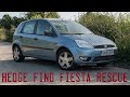 Hedgerow Fiesta rescue