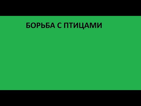 Часть 7         Борьба с птицами на ЖД. Репеллентная защита