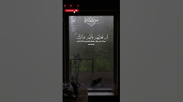 سورة المائدة بصوت ياسر الدوسري {إِنْ تُعَذِّبْهُمْ فَإِنَّهُمْ عِبَادُكَ} #القرآن_الكريم
