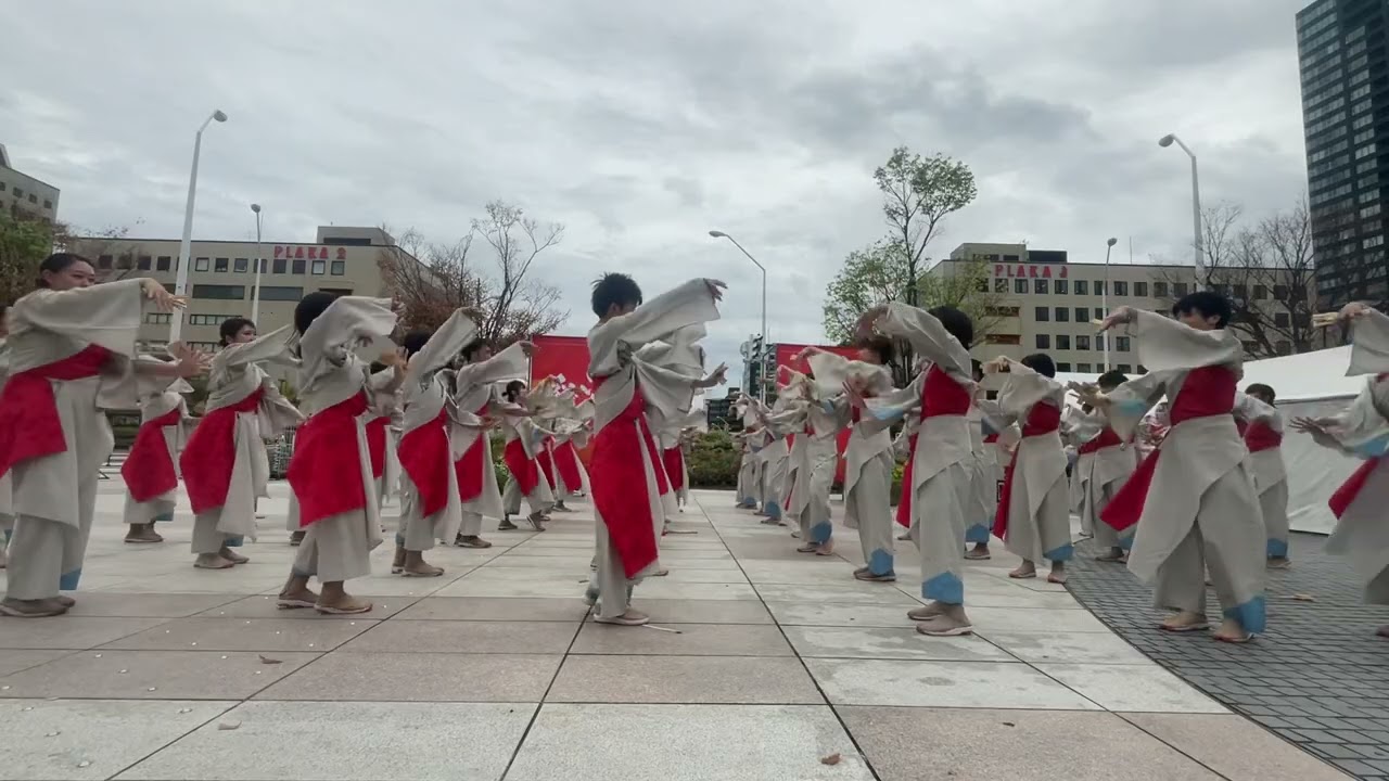 柳葉魚のざわめき　にいがた総おどり2025